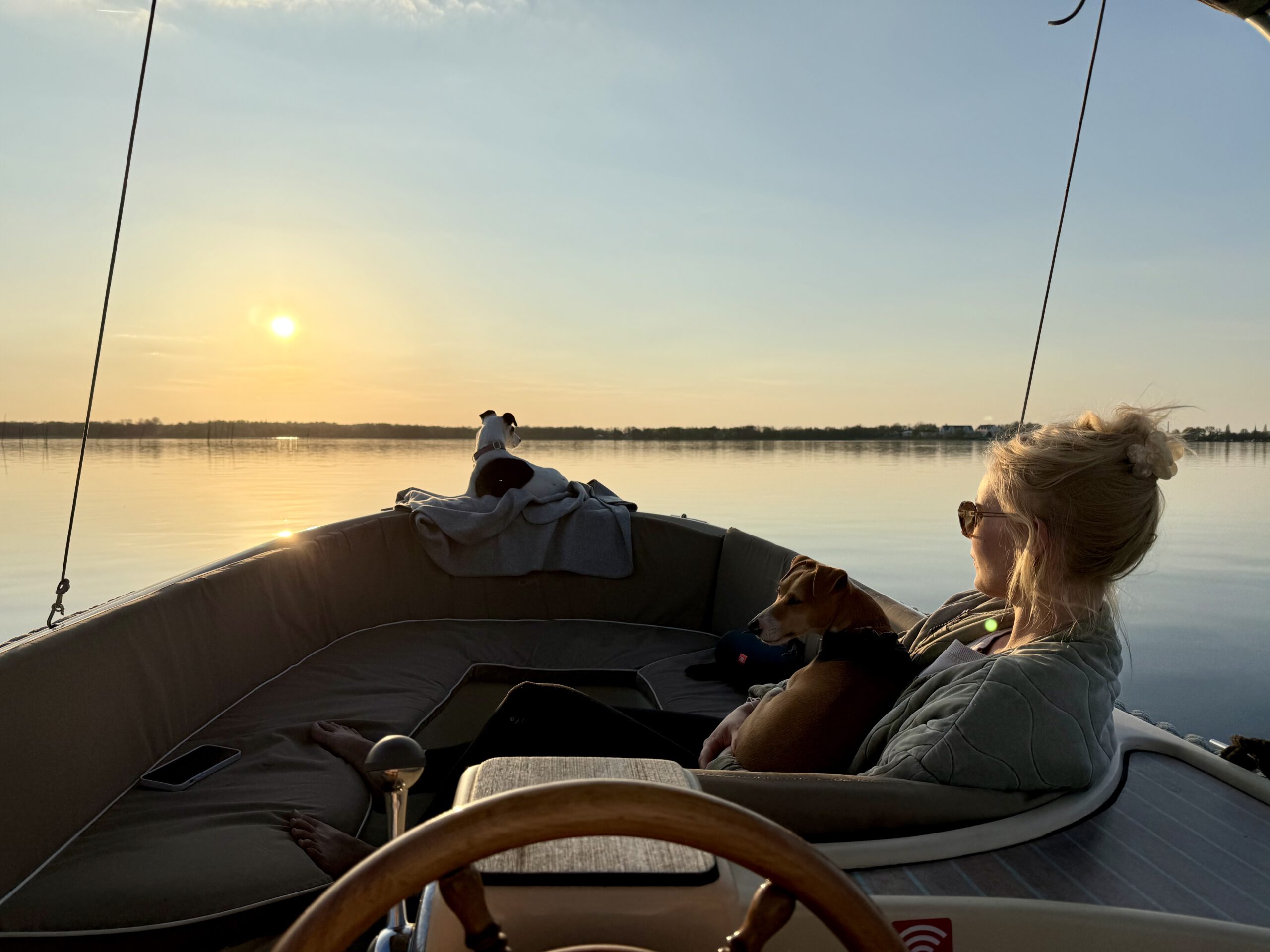 fuehrerscheinfreies-Motorboot-mit-Hund https://caputh-boote.de/wp-content/uploads/2026/03/fuehrerscheinfreies-Motorboot-mit-Hund-1-scaled.jpg